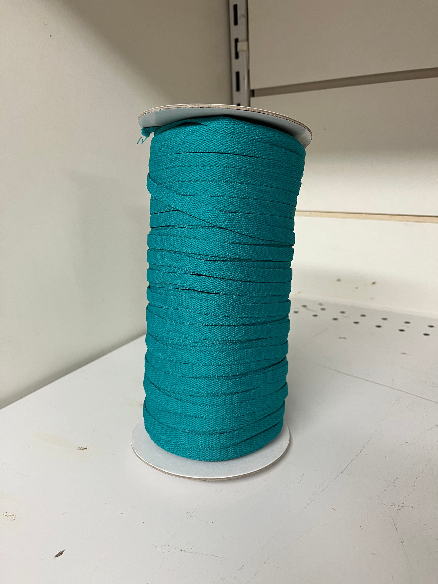 Shoelace Spool Teal