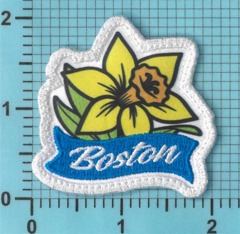 Boston Artist Daffodil Patch - (25 Pack)