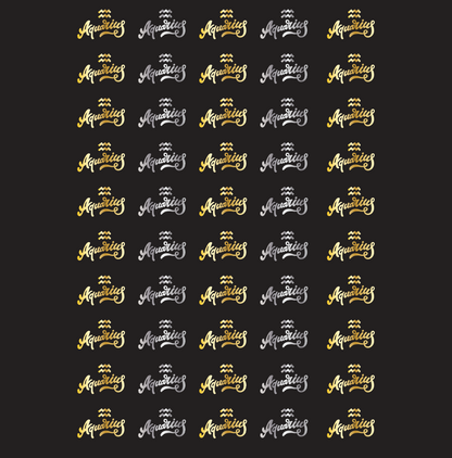 Aquarius Zodiac Sign